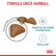 Royal Canin Hairball Care – Hrană Uscată pentru Pisici Adulte – 400 g